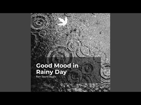 Feel Lively in Rainfall