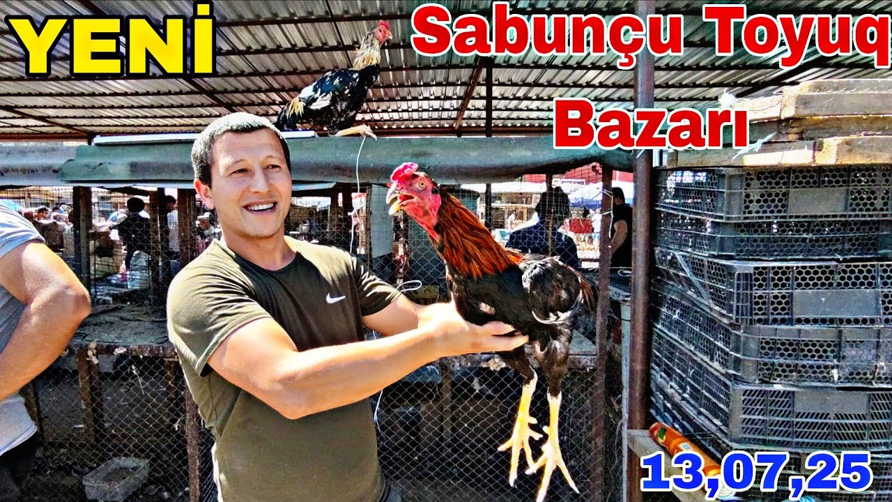Sabunçu Toyuq Bazarı 13 iyul 2025