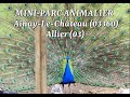 Ref:sshCzefeyQQ Mini parc animalier � ainay le ch�teau 03360 allier (03)