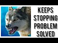 How to solve the wolf app keeps stopping problem  rsha26 solutions