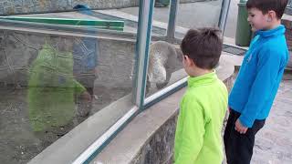 BEO ZOO, Belgrade