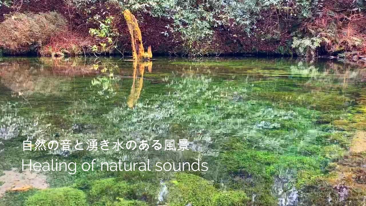 【自然の音】九州の風景 神秘の池山水源 湧き水 癒し音/Ikeyama spring Kyushu/Natural healing sound