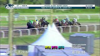 Vidéo de la course PMU PREMIO GLORY BOMB 2024 (ALTERNATIVA)