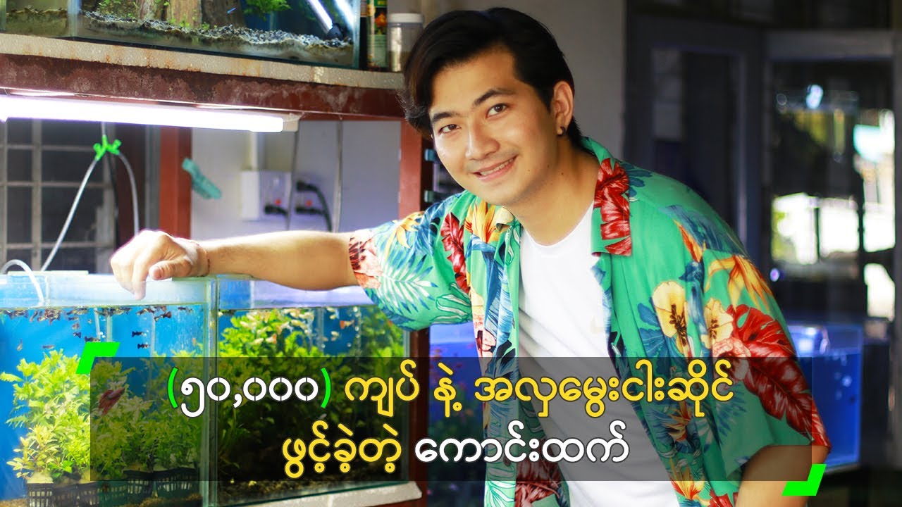 (၅၀,၀၀၀) ကျပ်နဲ့ အလှမွေးငါးဆိုင် ဖွင့်ခဲ့တဲ့ ကောင်းထက်သာ