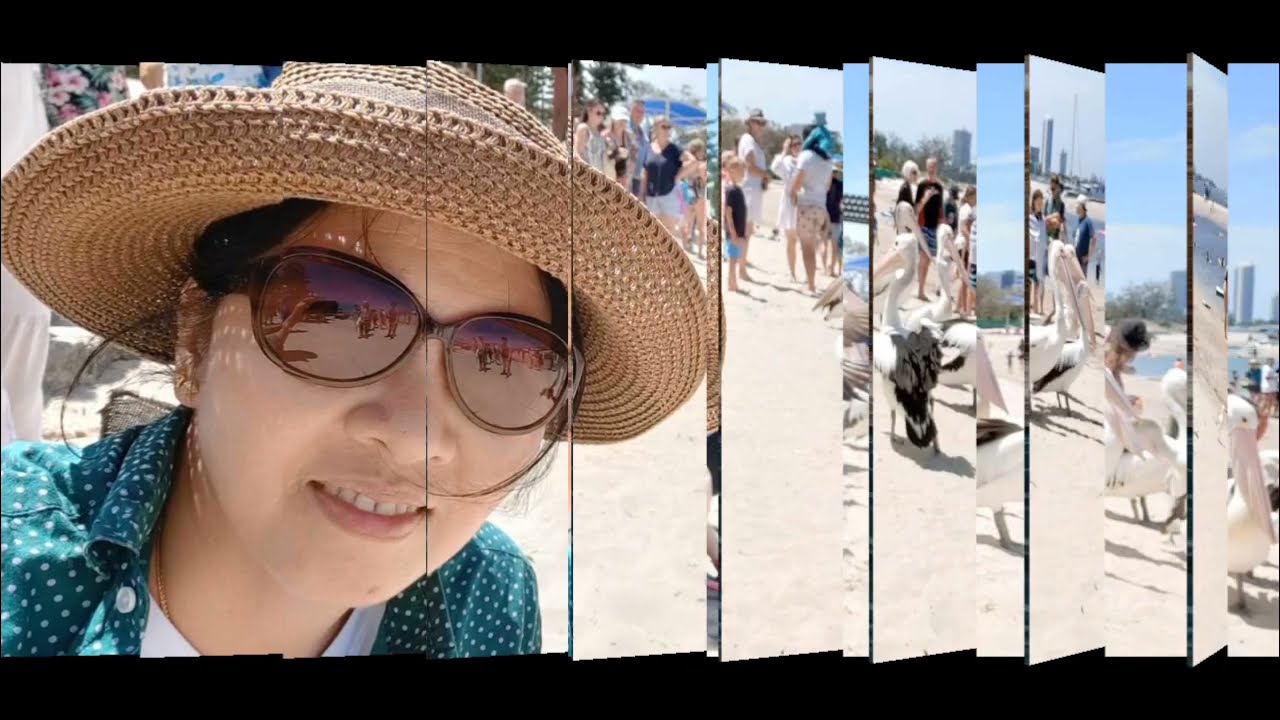 Pelican feeding time/blessed to experience this moment. Labrador QLD, Australia 
