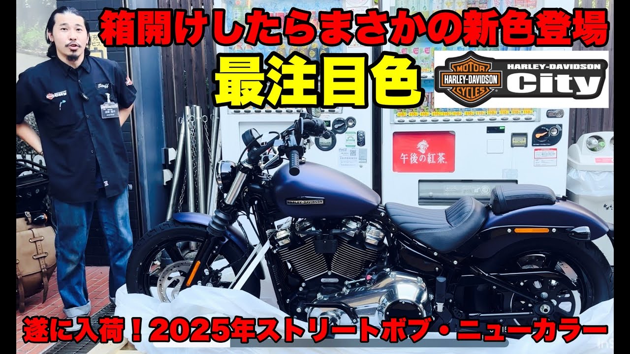 Rare Color] Unboxed 2025 New Street Bob! Rare Purple Abyss Denim