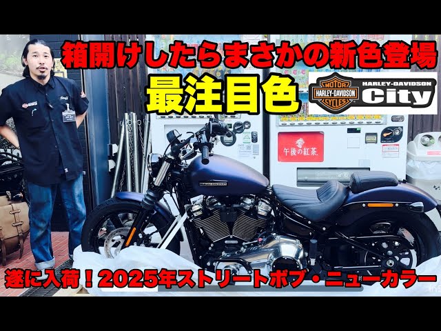 Rare Color] Unboxed 2025 New Street Bob! Rare Purple Abyss Denim