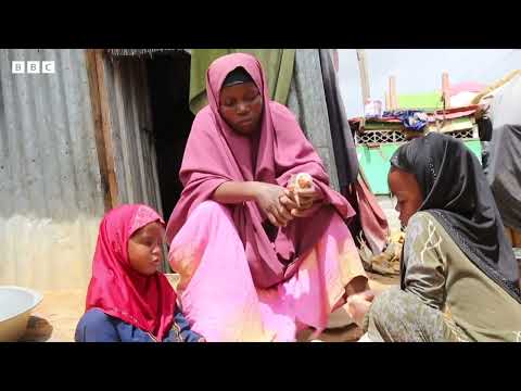 ثلاثة أسئلة توضح أسباب المجاعة