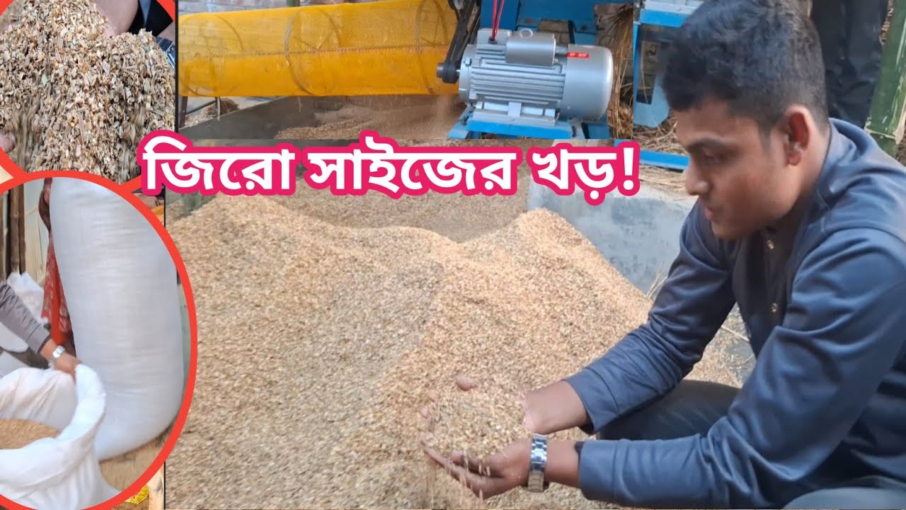 পড়ালেখার পাশাপাশি জিরো সাইজের খড় বিক্রি করছেন তিনি! সমগ্র বাংলাদেশে ক্যাশ অন ডেলিভারি