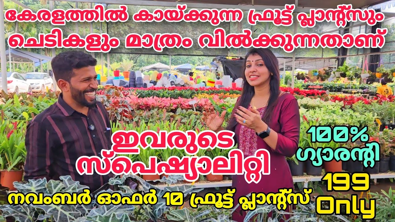 കേരളത്തിൽകായ്ക്കുന്ന ഫ്രൂട്ട്പ്ലാൻസും ചെടികളുംമാത്രം വിൽക്കുന്നതാണ് ഇവരുടെസ്പെഷ്യാലിറ്റി|GreenValley