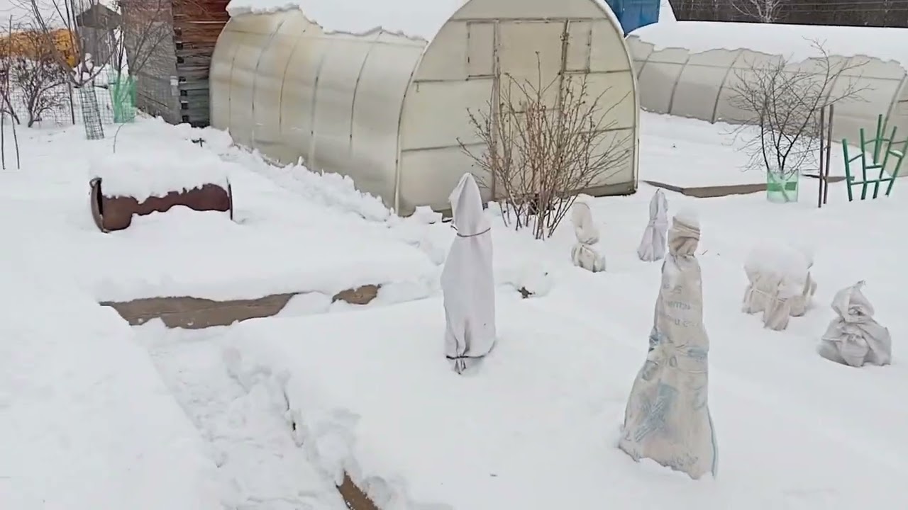 ДАЧА/ЗИМА ПРИШЛА/ЧИСТИМ ДОРОЖКИ.10.12.25г