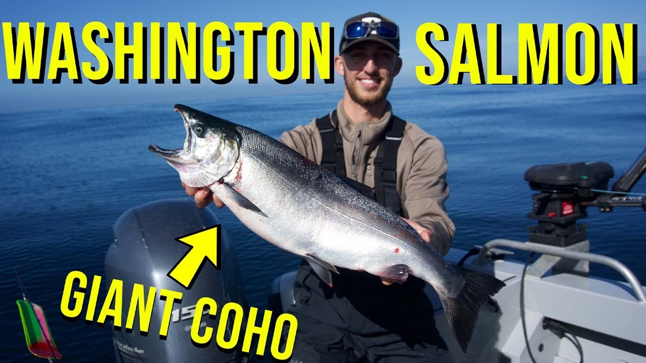 Washington State Salmon Fishing (GIANT COHO) YouTube