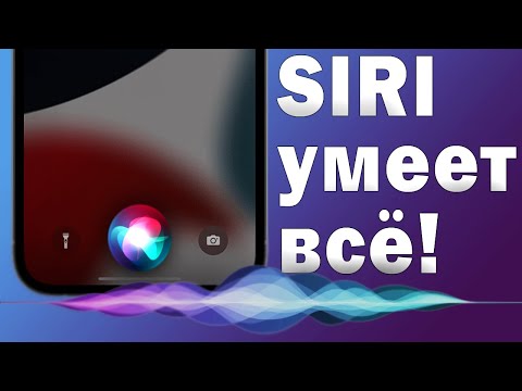 Самые крутые фишки Siri на iPhone с iOS 16