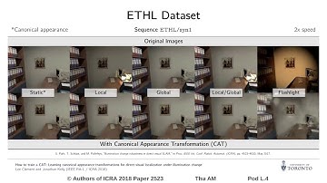 How to Train a CAT: Learning Canonical Appearance Transformations for Direct Visual Localization Und