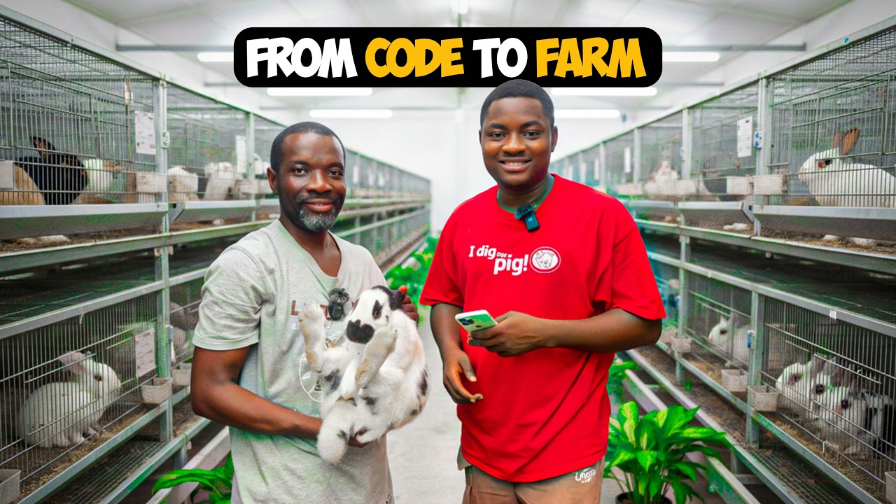 From Software Engineer to Farming: He Built an App to Automate Rabbit Farming — From Birth to Market