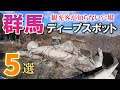群馬のディープな穴場スポット5選 Part2/こんな場所があるんだ.../群馬観光旅行vlog
