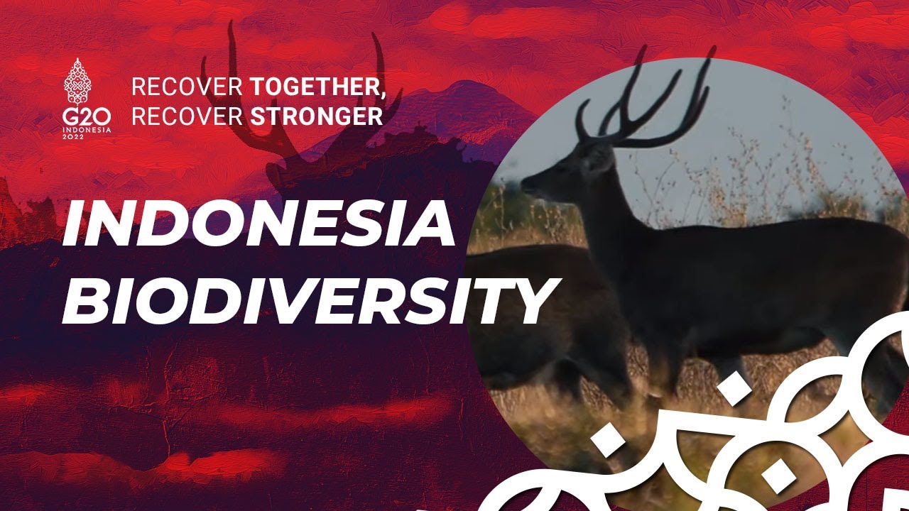 Indonesia Biodiversity