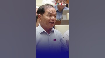 Cán bộ công chức không làm gì cả, không hành động là vô trách nhiệm, vi phạm pháp luật | VTVMoney