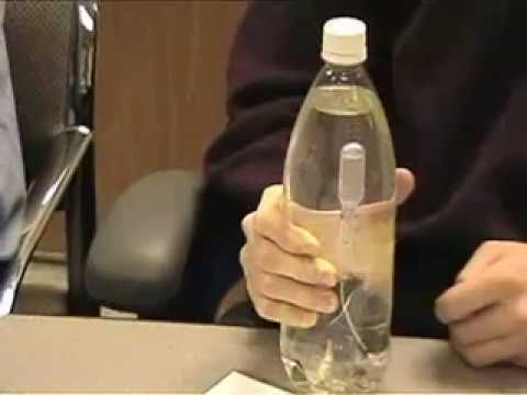 Картезианский водолаз своими руками. Эксперимент картезианский водолаз. Картезианский водолаз опыт по физике. Картезианский водолаз без пипетки. Картезианский водолаз с пипеткой.