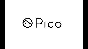 Pico Interactive Interview with Leland Hedges