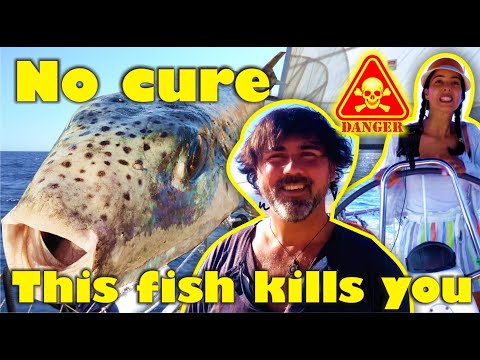 Almost killed by