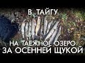 В ТАЙГУ / НА ОЗЕРО ЗА ОСЕННЕЙ ЩУКОЙ