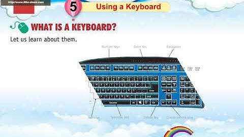 Using a Keyboard  Computer  Class - 1    Chapter   5