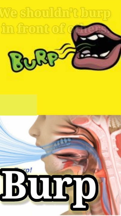 what-is-the-meaning-for-burp-what-is-urdu-word-for-burp