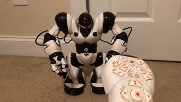 Wowwee Robotics Robosapien