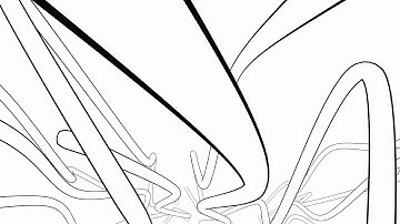 Spline control lightwave