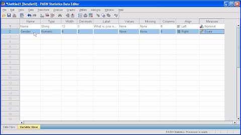 1.3a Define Variable: PASW (SPSS) Statistics v.17 video