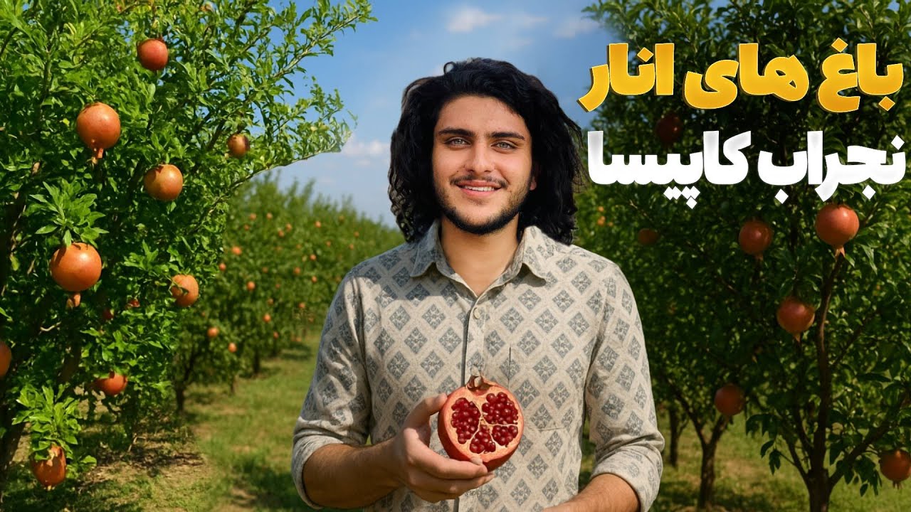 هی میدان طی میدان - دیدار باسط ایرج از باغ های انار در نجراب