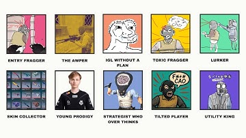 Every CS Roles Explained