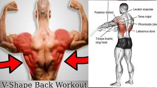 Back Workout At Home | Lower Back Exercises | Back Exercises Strength | Back Exercises At Home