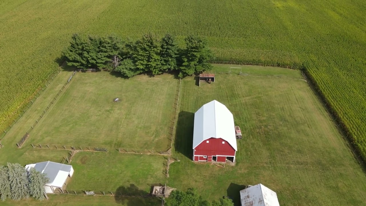 Milan, IL Real Estate with 3-bedrooms on 5.03 (M/L) Acres and outbuildings!