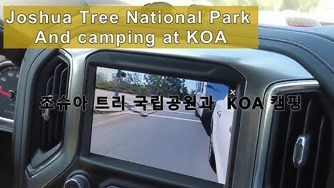 Joshua Tree National Park/ KOA Camping