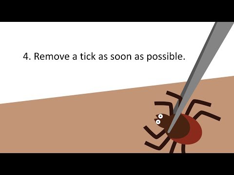 Video: How A Tick Bites