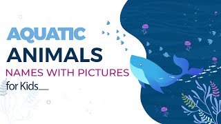 Aquatic Animals for Kids || Sea Animals Names with Pictures