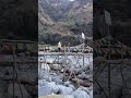 swami ji please #SwamijiPlease #PahariDance #Himachal #Palampur #YouTubeShorts #paharidance