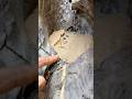 Black sand stores gold #goldpanning #highgradegold #goldrush #prospecting #goldmining #goldhunter