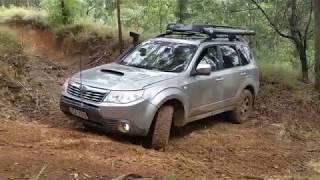 Subaru Foresters  Glasshouse Mountains