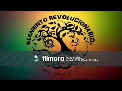 ELEMENTO REVOLUCIONARIO --ANCARIOS