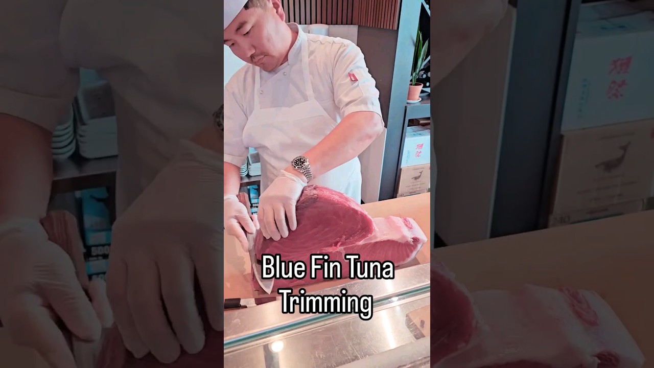 Blue Fin Tuna for Sushi 