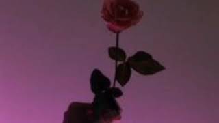 yunggoth x lil peep // crying (lyrics)