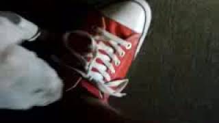 Razors Ture Pit Kennel Ukc A.p.b.t