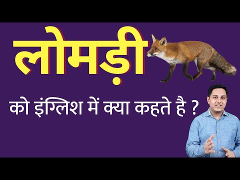 वीडियो: क्या लूमरी एक शब्द है?