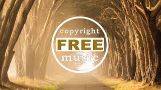 Declan DP - Journey [Copyright FREE Music]
