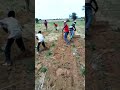Zarma Don Don Nami Niger Zarma Don Don Nami Niger