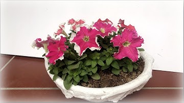 How to make a cement flower pot- Cách làm chậu hoa bằng xi măng từ rổ nhựa và khăn lau cũ