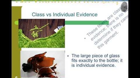 Crime Scenes Part 1.mp4